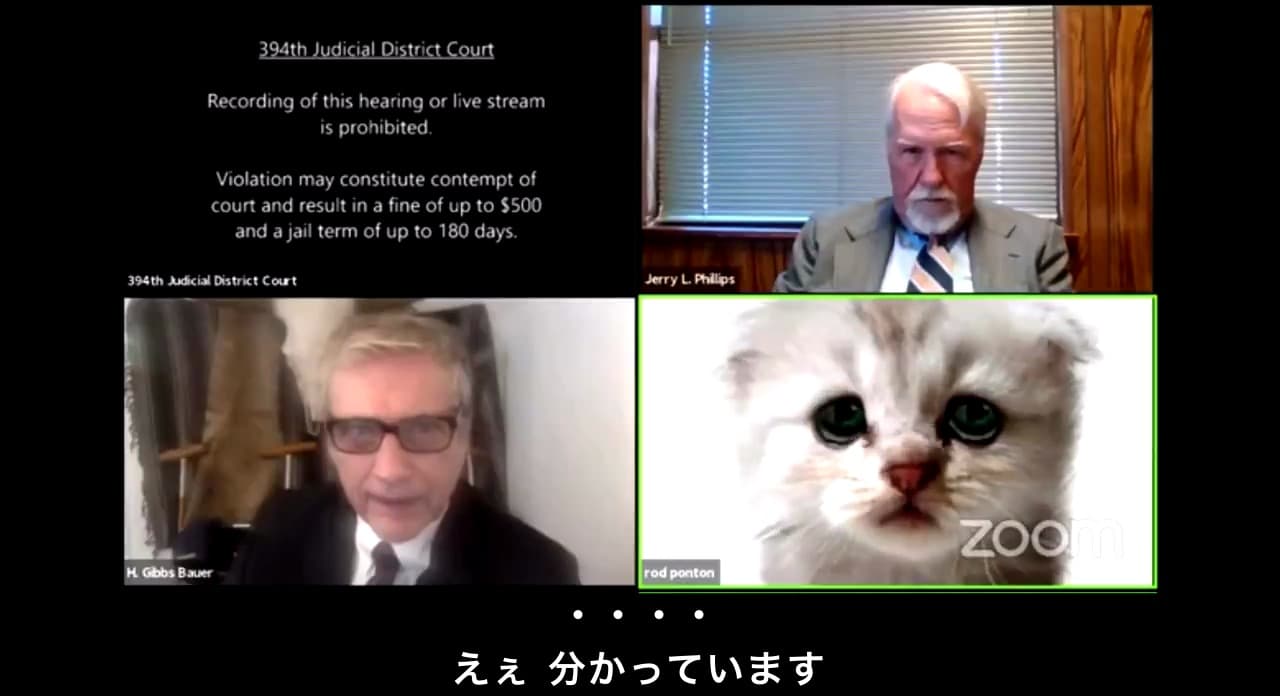 猫フィルター　裁判　アメリカ　ロッド・ポントン