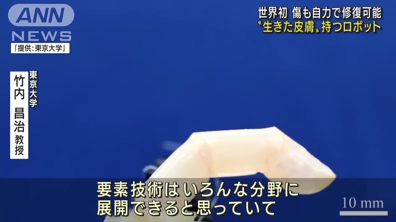指型ロボット　培養皮膚　東京大学　生きた皮膚
