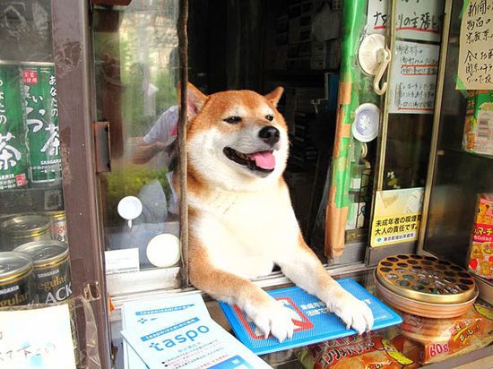 武蔵小金井にあるタバコ屋さん「鈴木たばこ店」に関連した画像-01