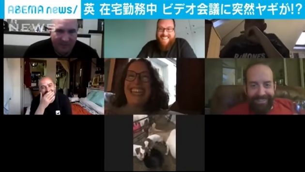 在宅勤務 ビデオ会議 ヤギに関連した画像-05