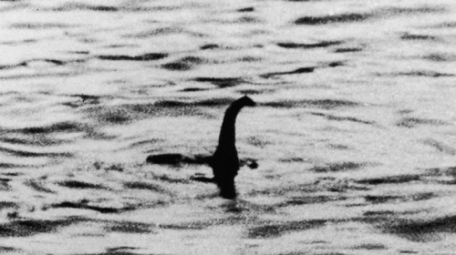 未確認動物 ネッシー ついに発見か 全長10m以上の影がソナーに映り込み研究者も困惑 ユルクヤル 外国人から見た世界 未確認動物 ネッシー ついに発見か 全長10m以上の影がソナーに映り込み研究者も困惑 ユルクヤル 外国人から見た世界
