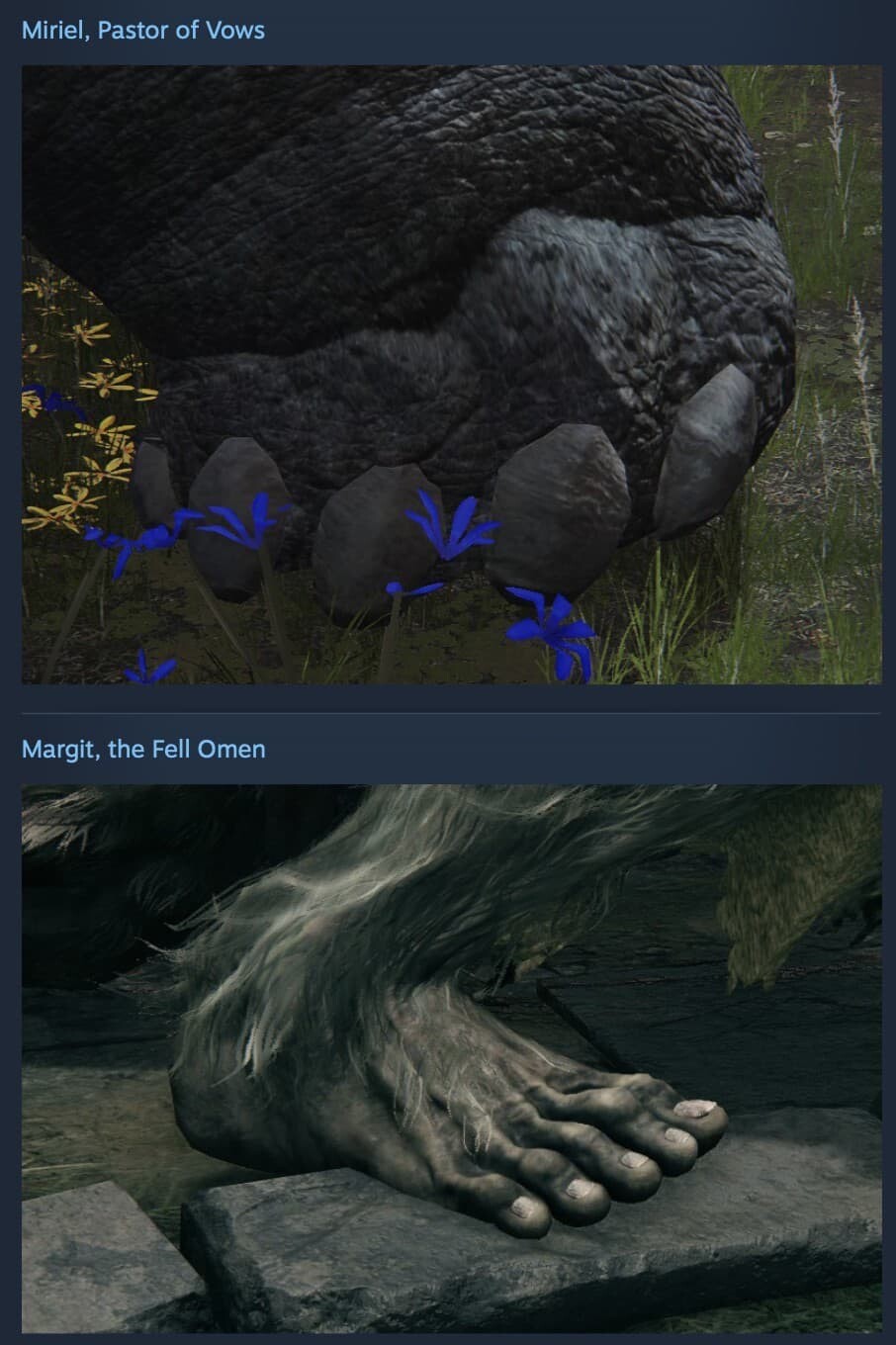 エルデンリング 足 Steam 宮崎英高
