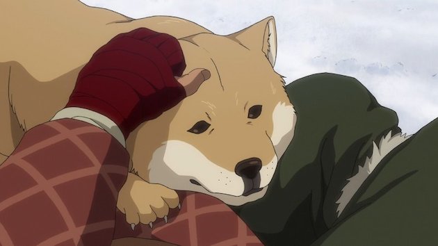 犬に関連した画像-01