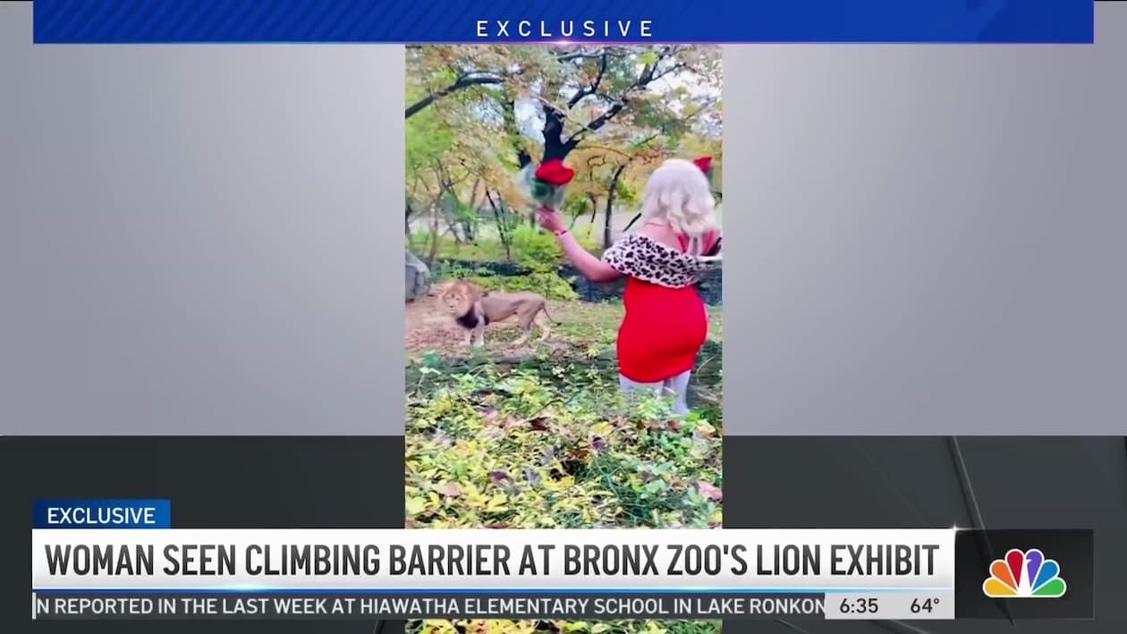 ブロンクス動物園 アメリカ ライオン