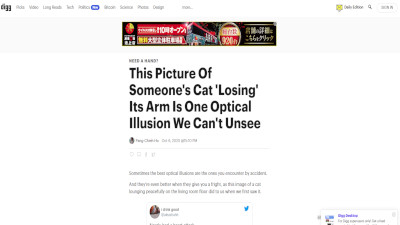 Twitter 猫 前足に関連した画像-02