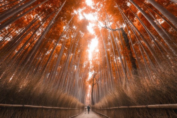 絶対に日本へ行くべきではない15の理由に関連した画像-09