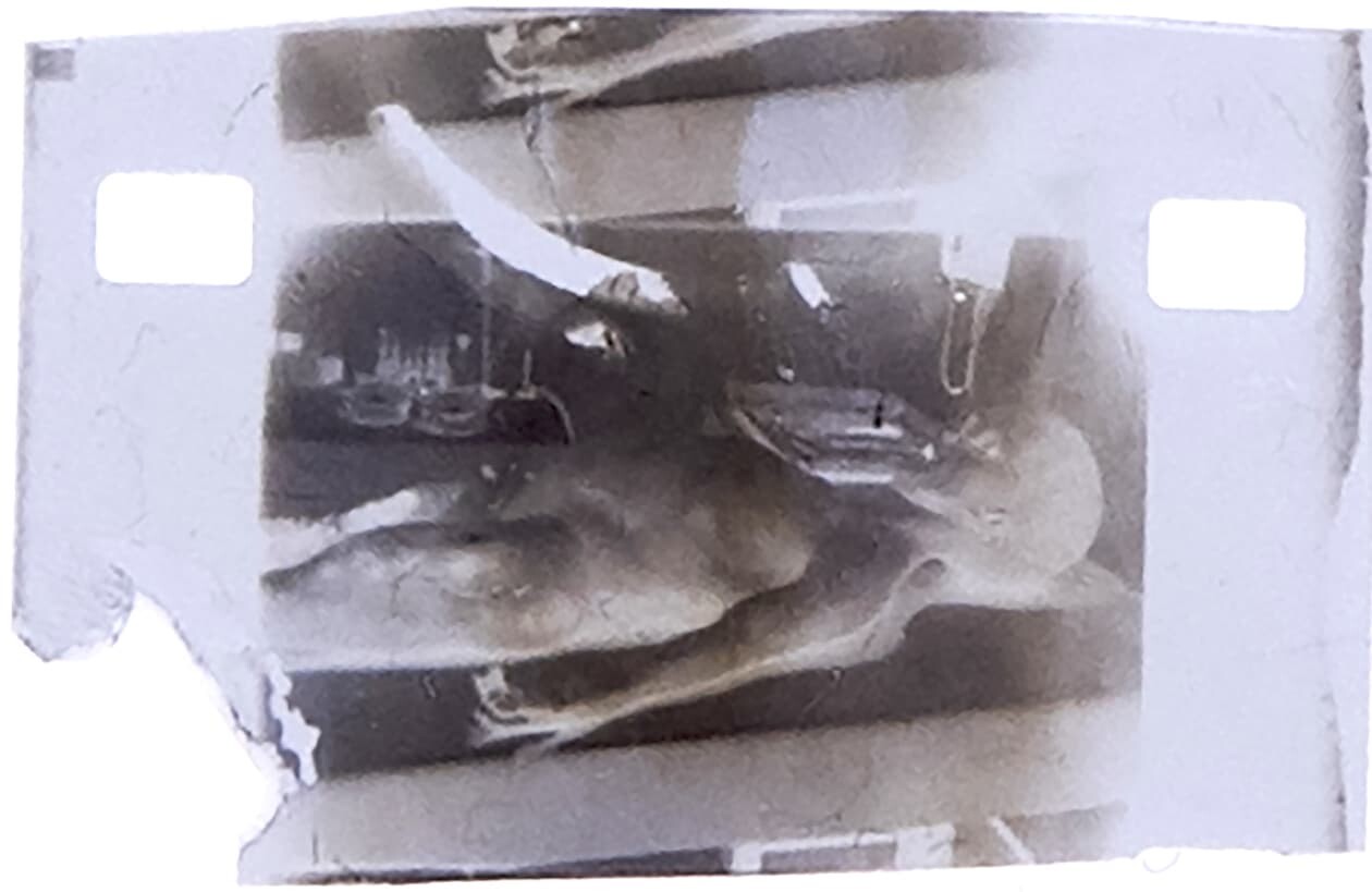 宇宙人解剖フィルム NFT オークション