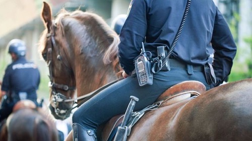 黒人 人種差別 奴隷 騎馬警官 アメリカ 連行