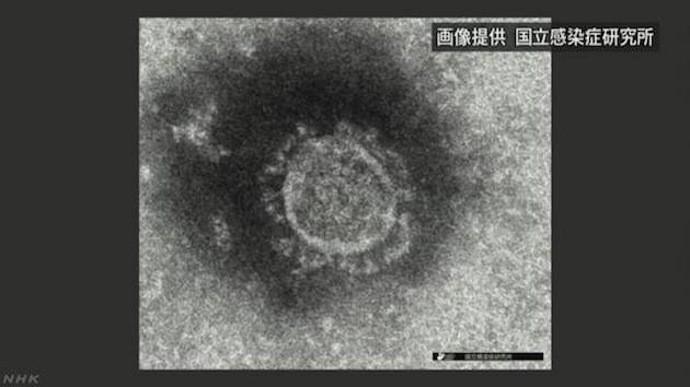 新型コロナウイルスに関連した画像-01