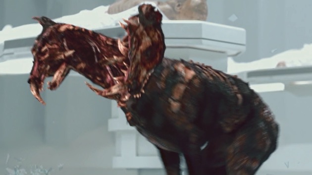 リーフブロワーの風を受け止めた犬に関連した画像-03