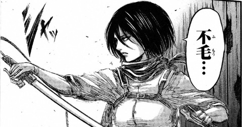 mikasa_00