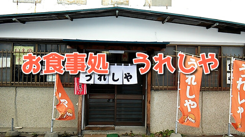 VMZ03coyfo7hW0J1577845937_1577845987