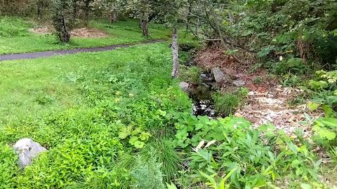 20230827_070609346