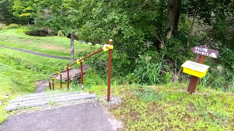 20230827_070533241