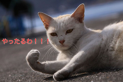 2B4HcsFoGpKcEpc1762378582_1762378675