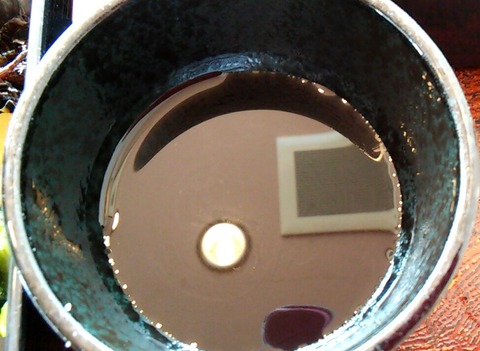 20200920_113916861 (2)