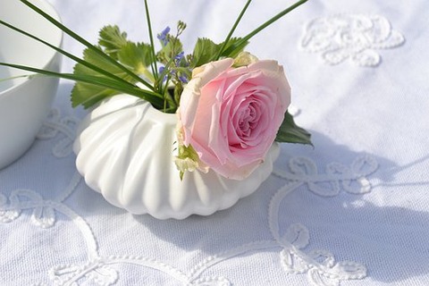 flowers-4214393__340