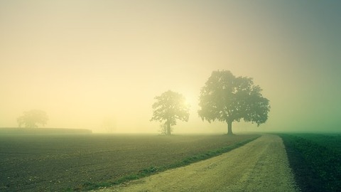 dawn-3804124__340
