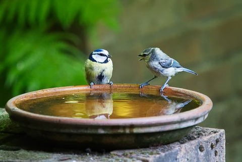 conversation-3513843__340