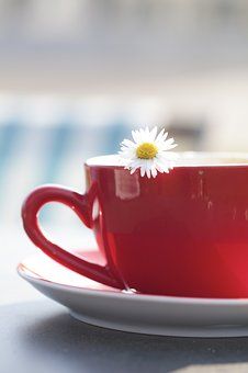 cup-2967799__340