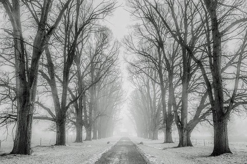 winter-1890653_640