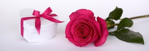 rose-2019690_640