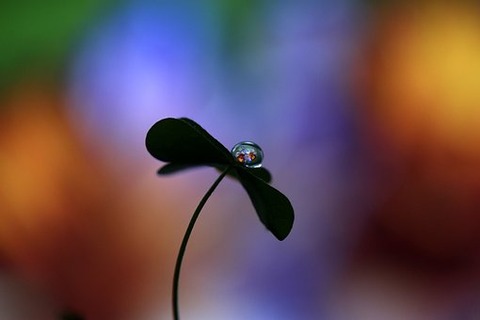 drop-2830413__340