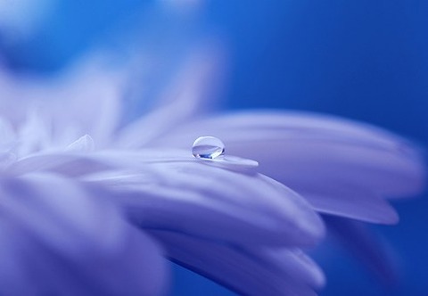 drop-of-water-571956__340
