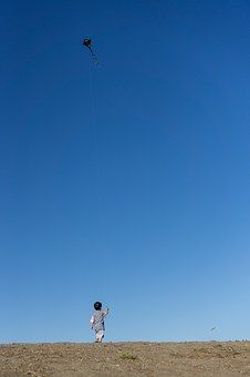 kite-1447813__340