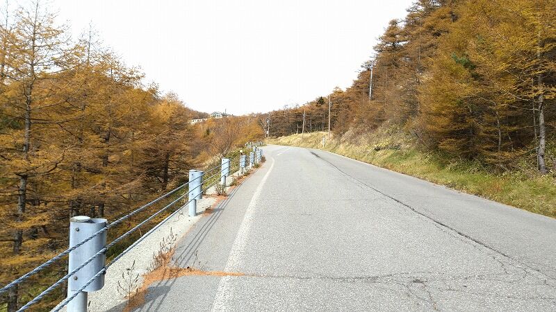 グラベルバイクで湯の丸高峰林道へ ゆるぽた グラベルバイクで湯の丸高峰林道へ ゆるぽた