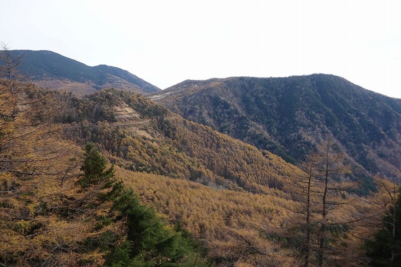 グラベルバイクで湯の丸高峰林道へ ゆるぽた グラベルバイクで湯の丸高峰林道へ ゆるぽた