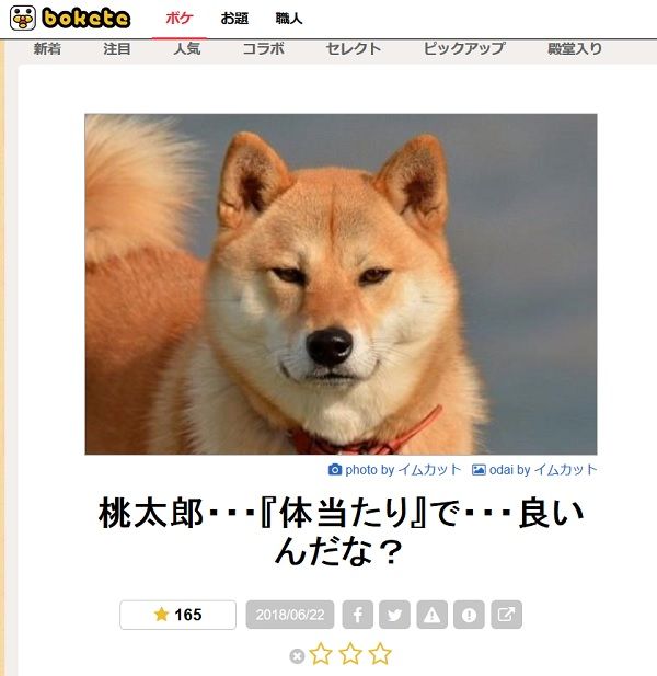 犬特集 Boketeで笑った写真にツッコミを入れてみる ゆるやか100