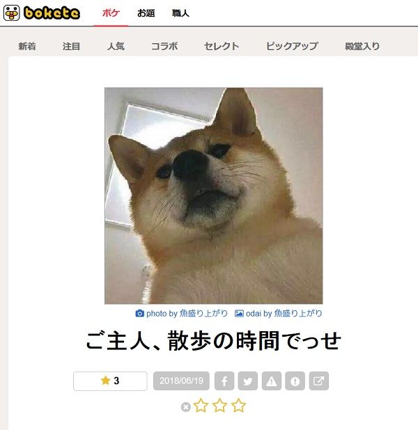 犬特集 Boketeで笑った写真にツッコミを入れてみる ゆるやか100