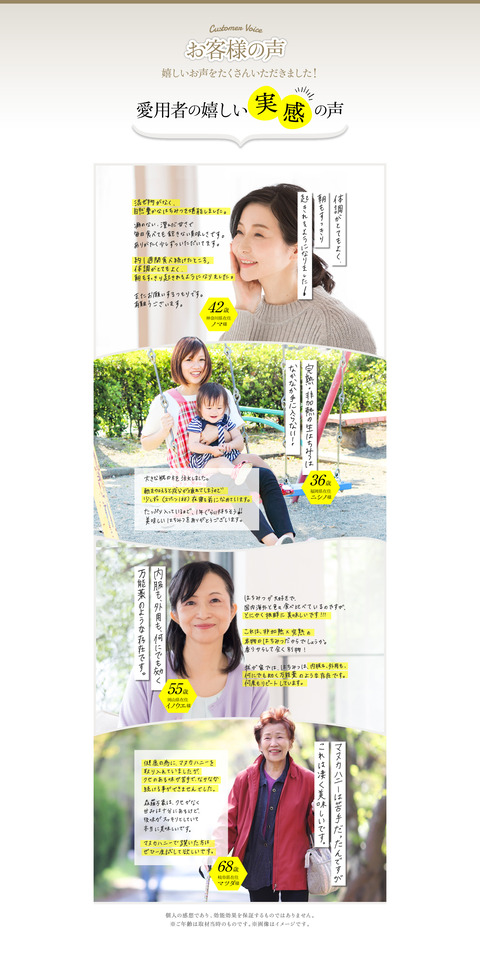 voice_img00.6eb5ff43