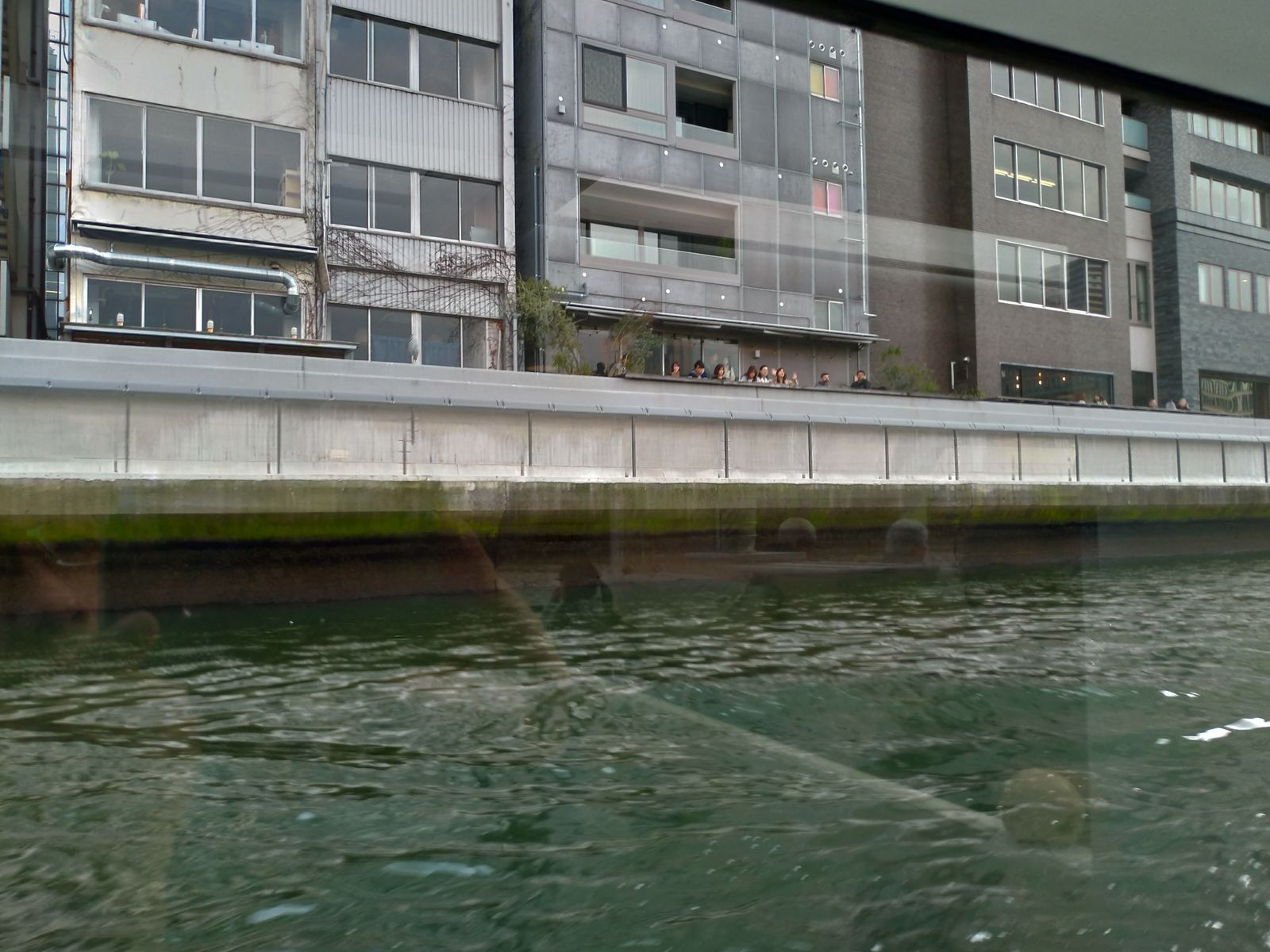 P_20190326_161557_vHDR_Auto_HP