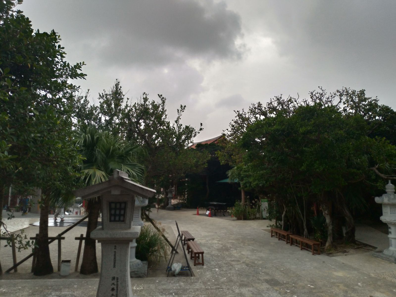 P_20190126_082315_vHDR_Auto_HP
