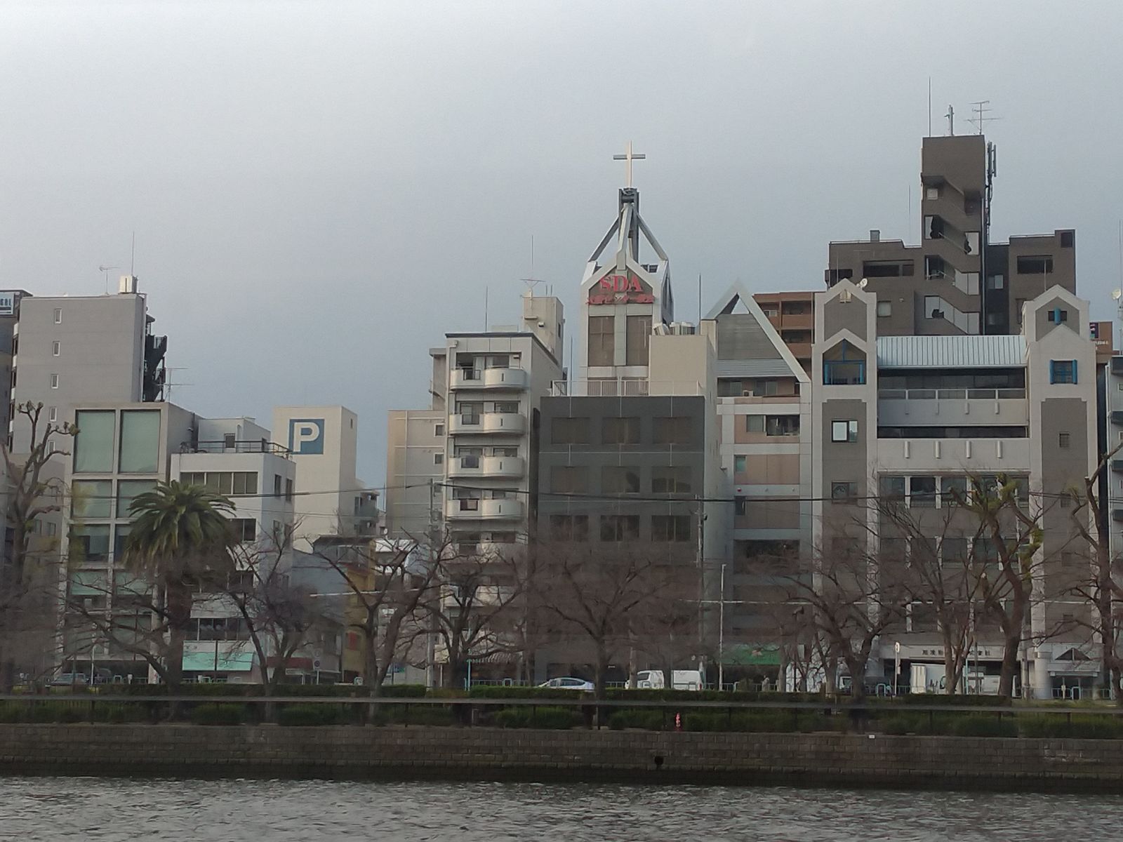 P_20190326_162729_vHDR_Auto