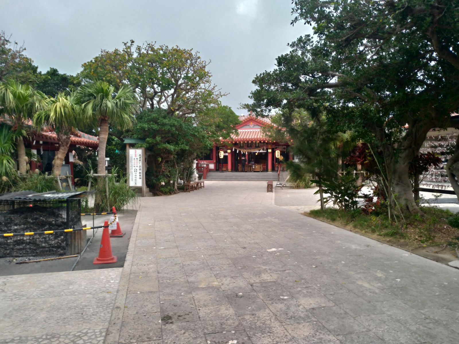P_20190126_082102_vHDR_Auto_HP