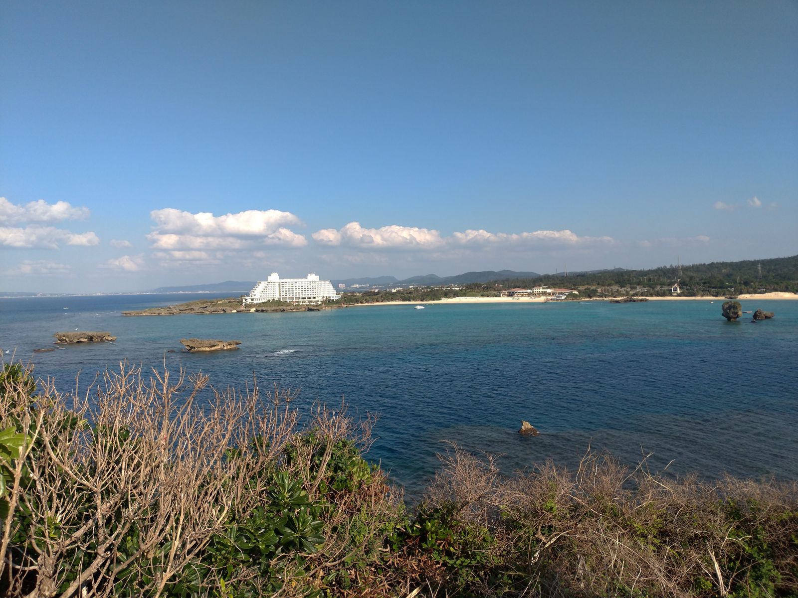 P_20190125_151203_vHDR_Auto