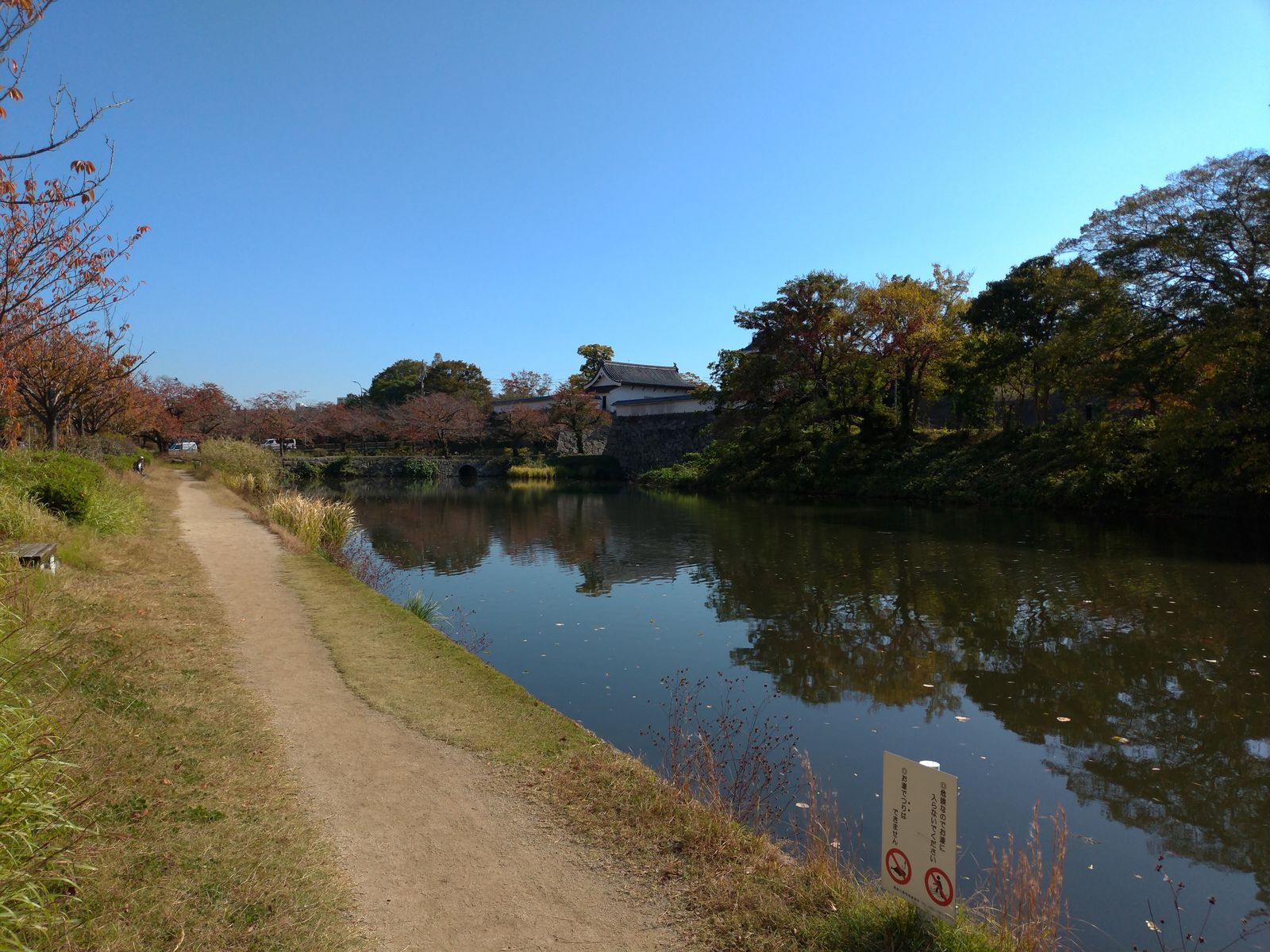 P_20181107_130240