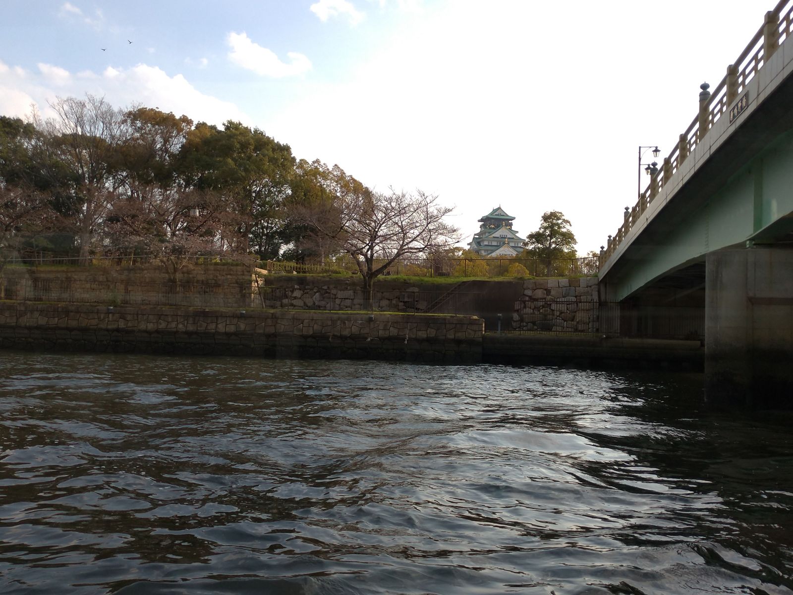 P_20190326_160507_vHDR_Auto
