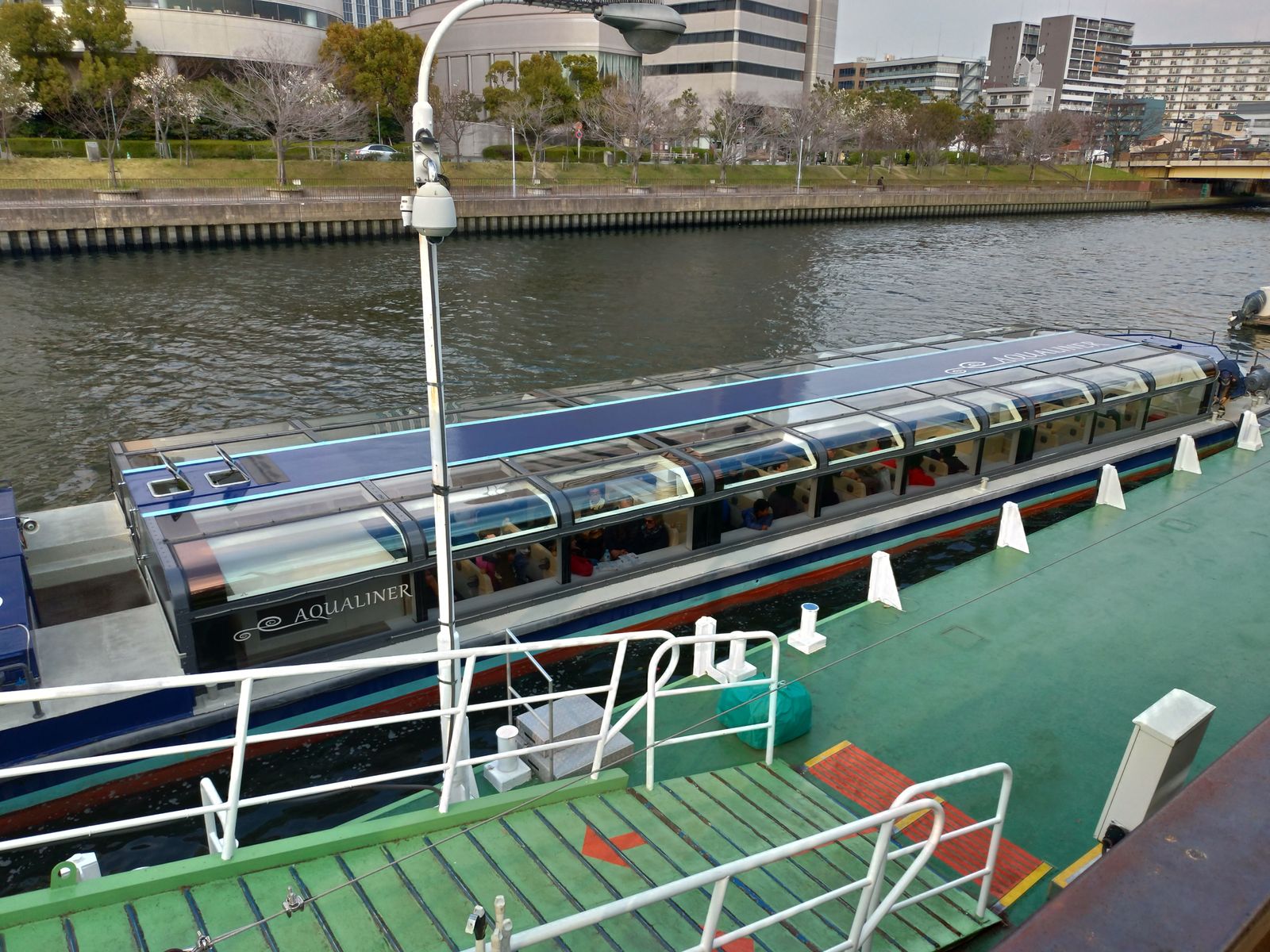 P_20190326_155446_vHDR_Auto_HP