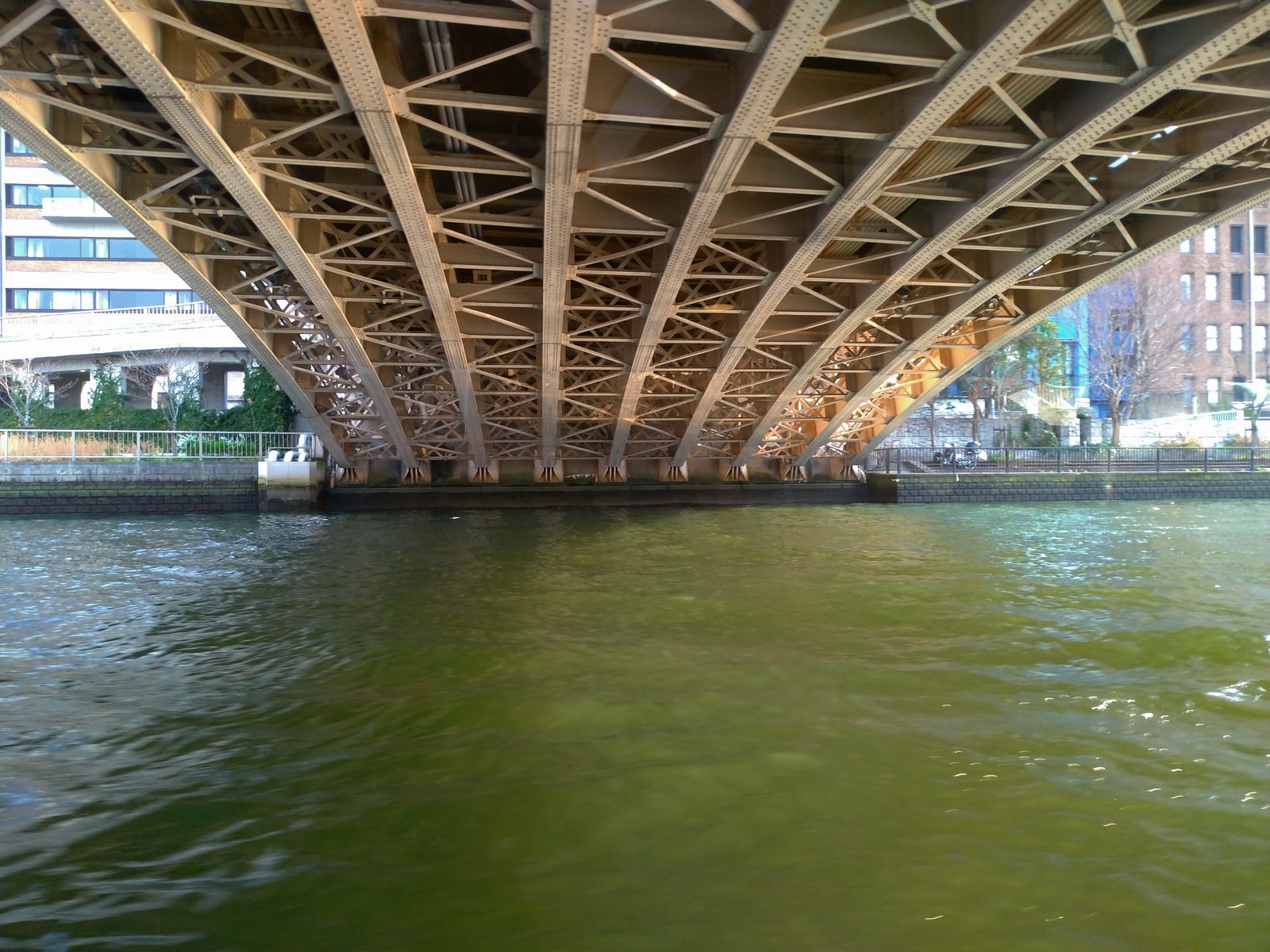 P_20190326_161249_vHDR_Auto_HP