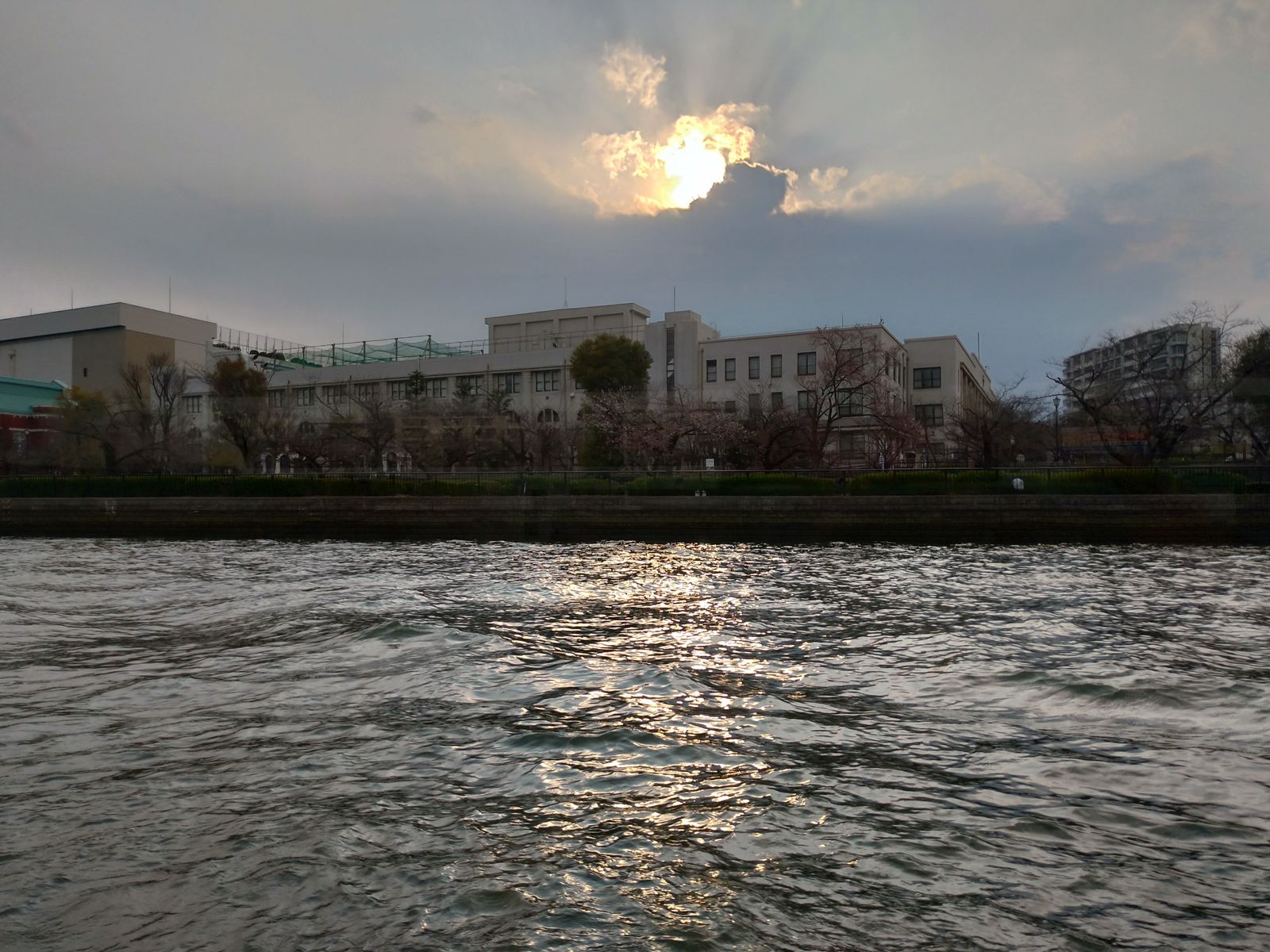 P_20190326_163732_vHDR_Auto_HP