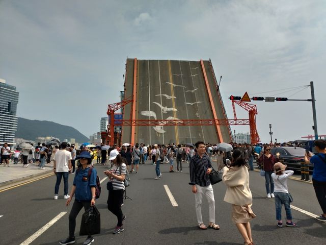P_20190606_140651_vHDR_Auto_HP