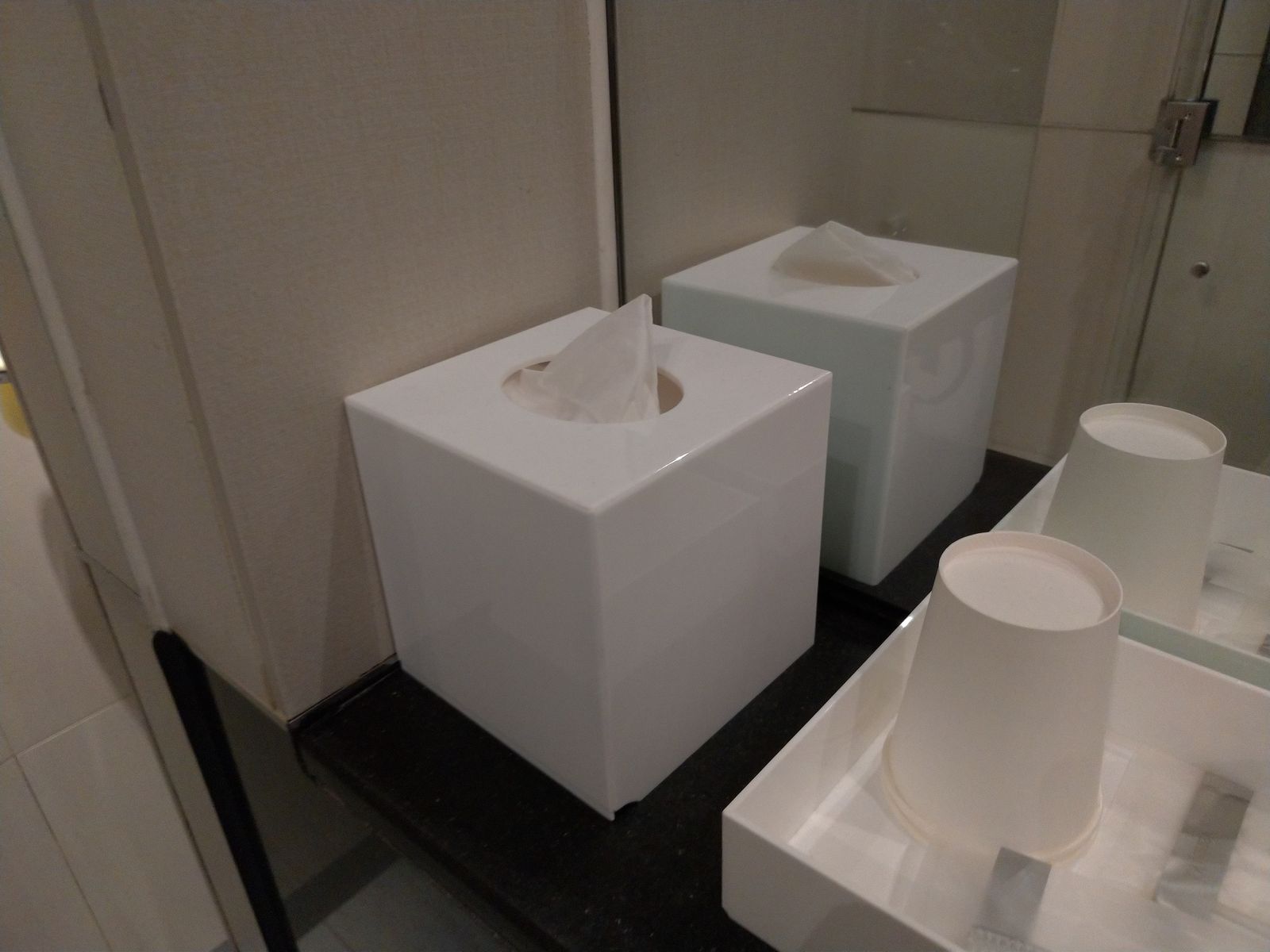 P_20190220_040856_vHDR_Auto