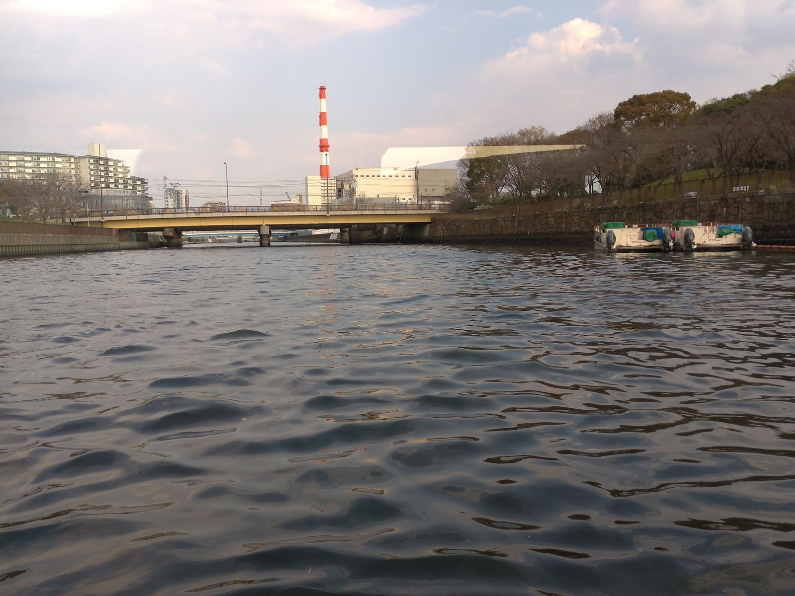 P_20190326_160127_vHDR_Auto
