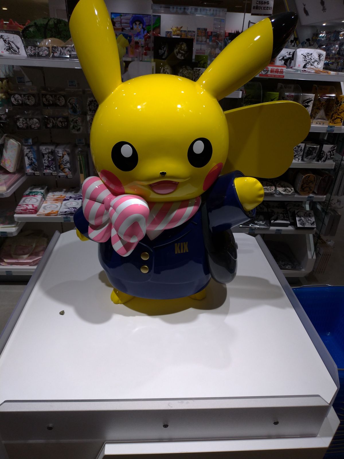 P_20190124_113707_vHDR_Auto