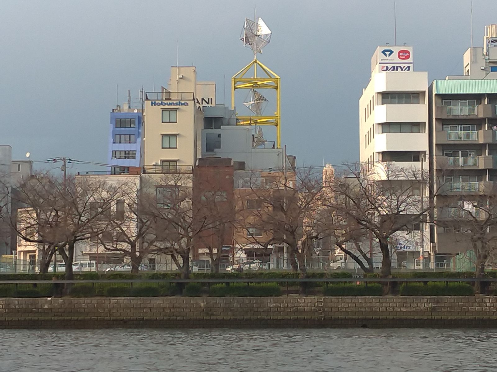 P_20190326_162558_vHDR_Auto