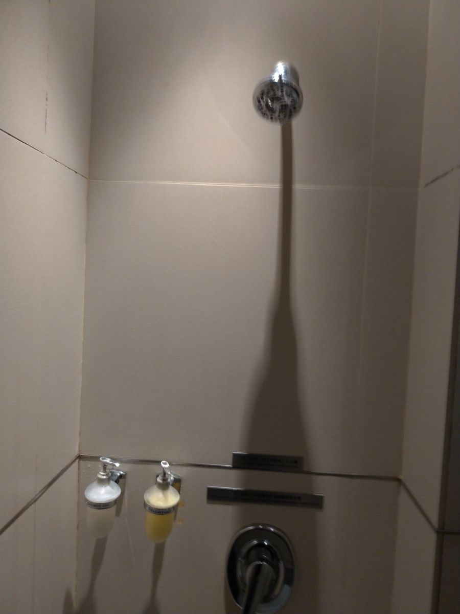 P_20190220_040822_vHDR_Auto